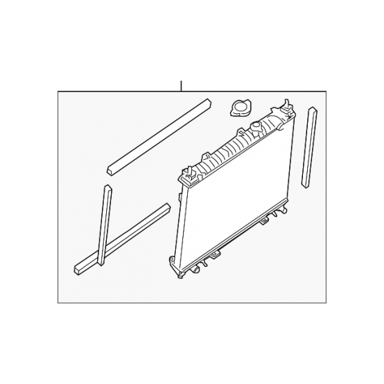 Radiator Assembly