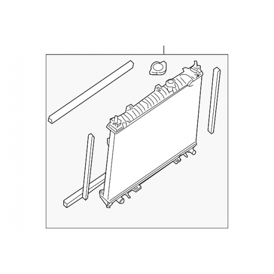 Radiator Assembly