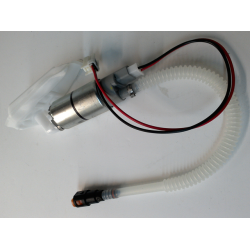 Fuel Pump Assembly